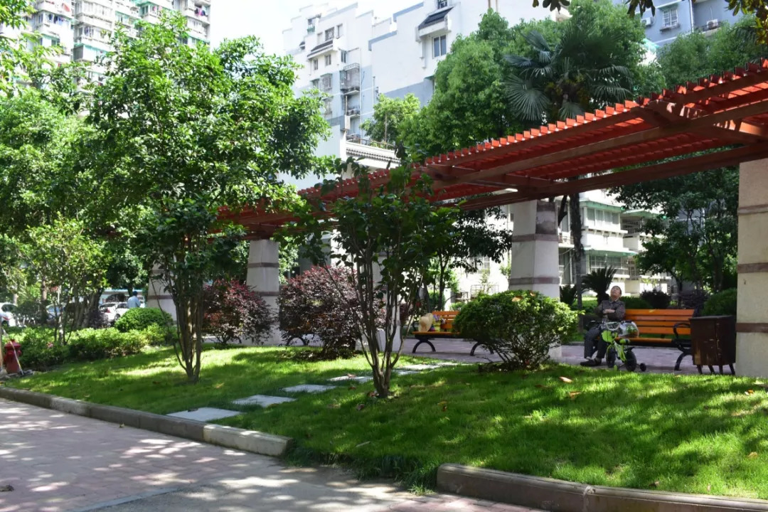廊架改造后.jpg 圖片關(guān)鍵詞